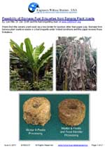 Feasibility of Biomass Fuel Briquettes from Banana Plant Waste  by: Lee Hite & Dr. Zan Smith